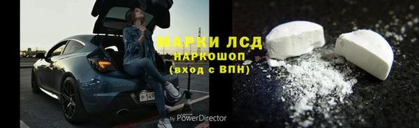 тгк Новодвинск
