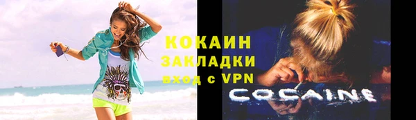 тгк Новодвинск