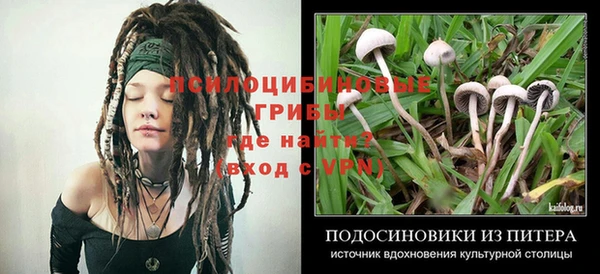 тгк Новодвинск