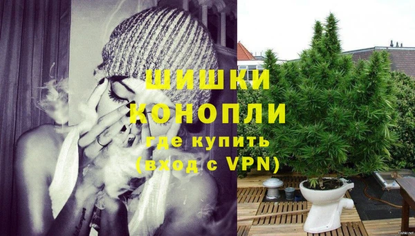 тгк Новодвинск
