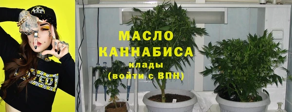 тгк Новодвинск