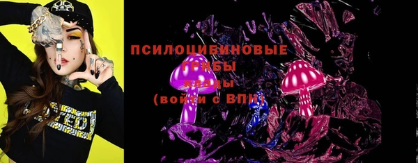 тгк Новодвинск
