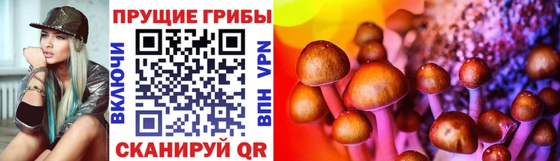 Галлюциногенные грибы мицелий  mega ссылка  Южно-Сахалинск  наркошоп 
